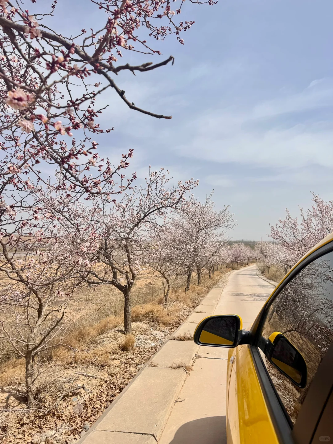 在中卫：大漠黄沙 戈壁孤烟的荒凉具像化了