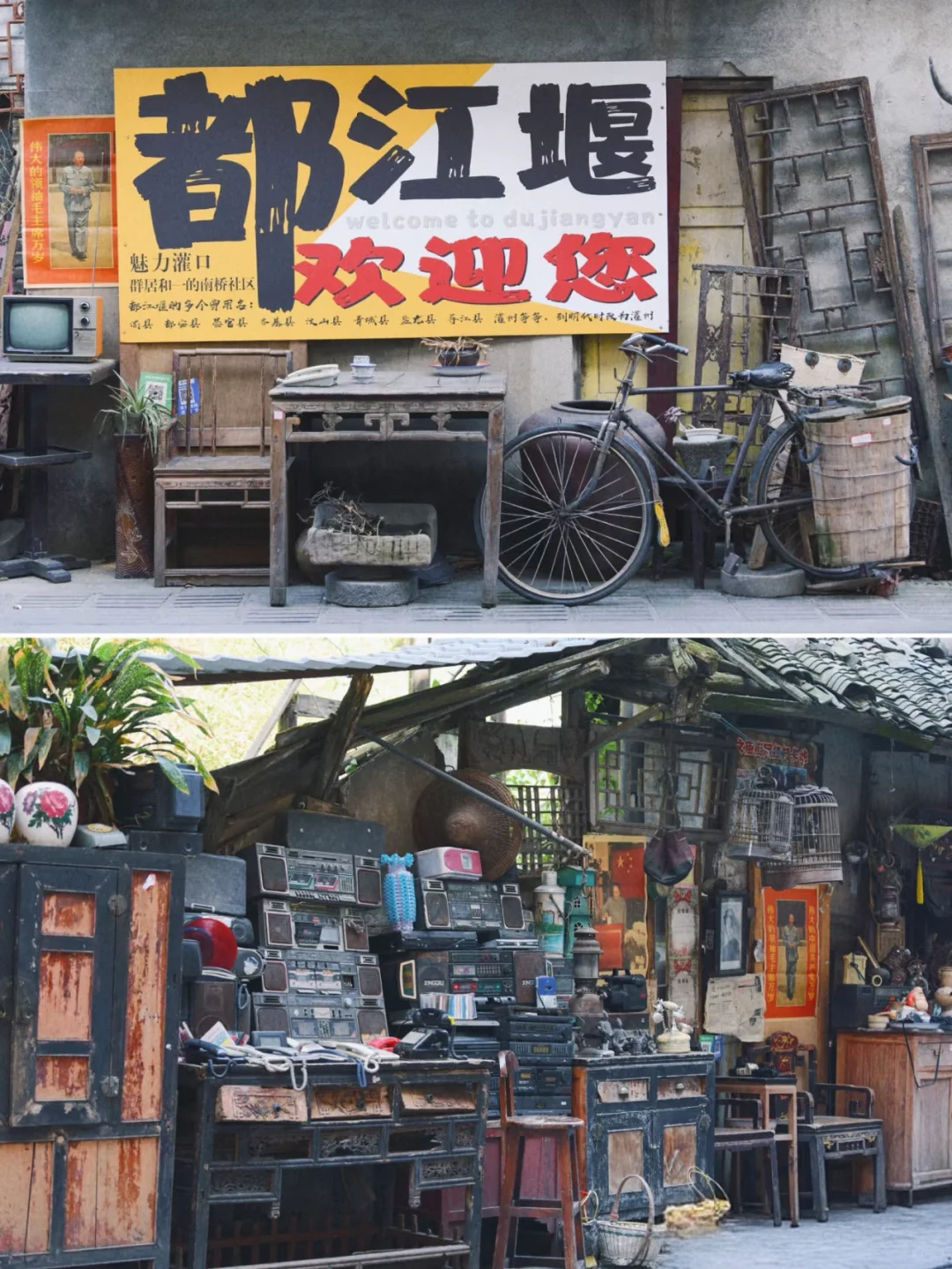 闯入熊猫谷🐼仙境，吸氧+吸猫全满足！