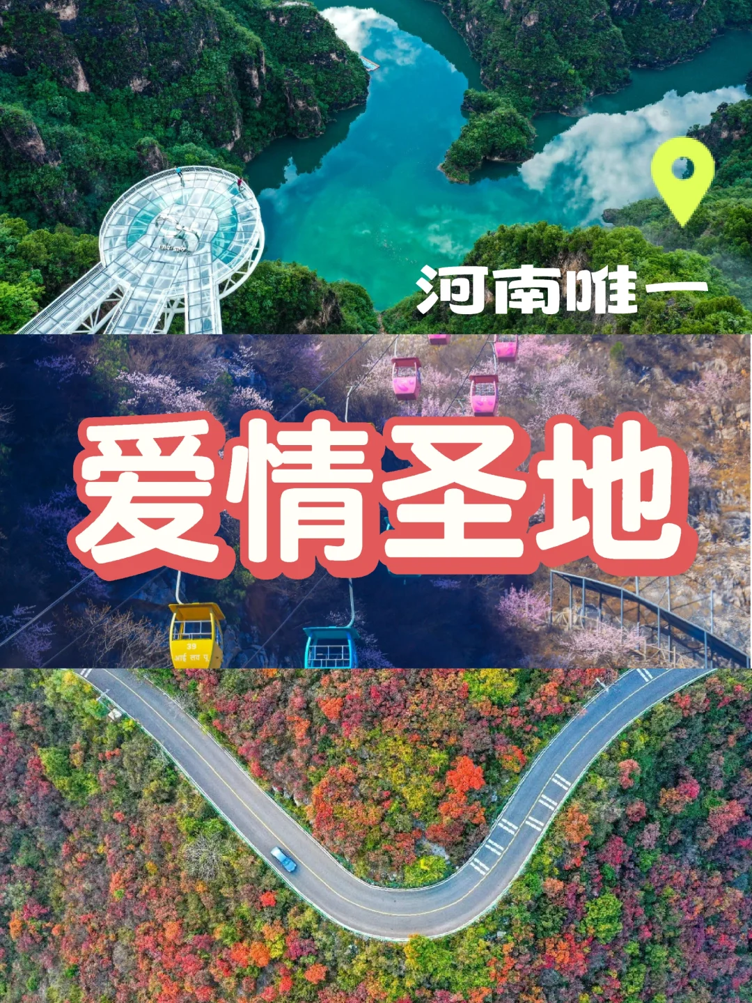 河南TOP1！来到这里的都结了婚