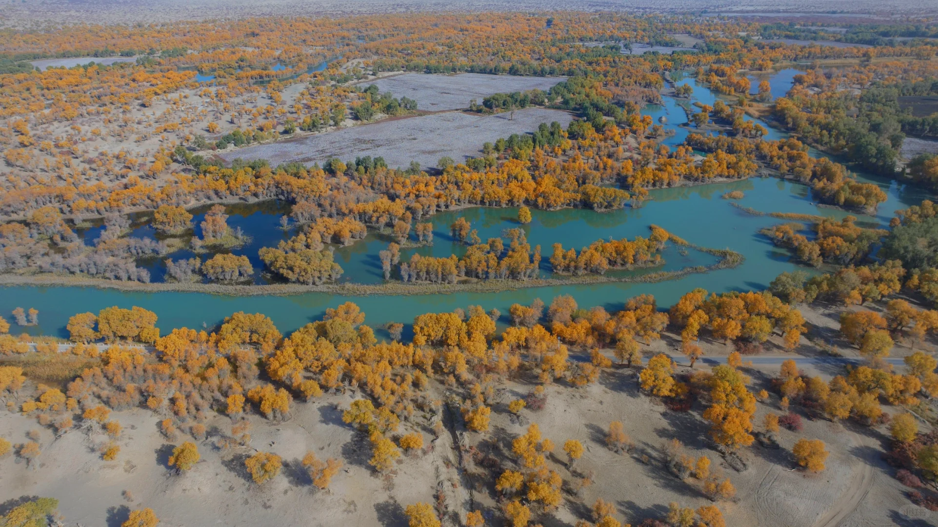 新疆旅游｜选对季节很重要