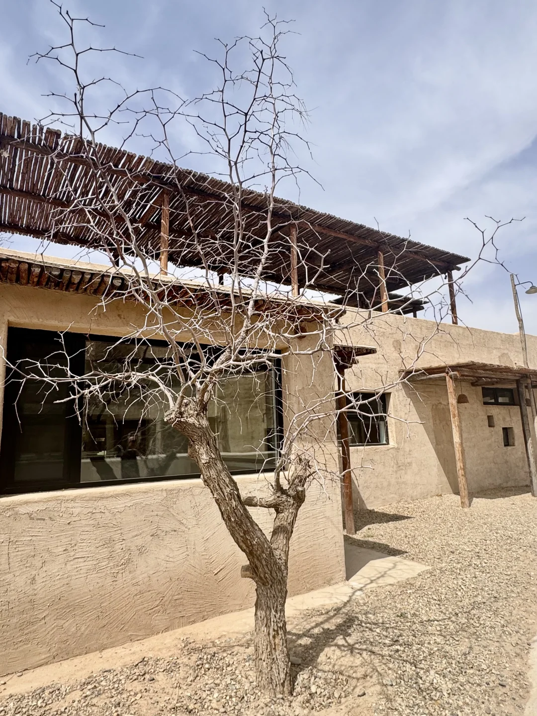 在中卫：大漠黄沙 戈壁孤烟的荒凉具像化了