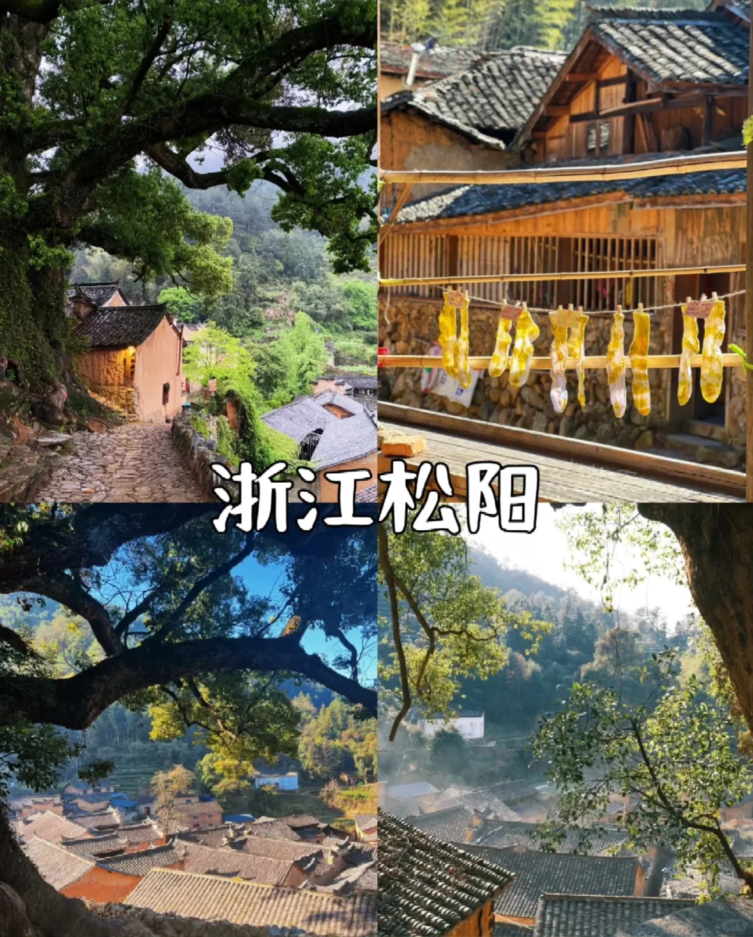 五一反向旅游灵感地，主打一个冷冷冷门小众