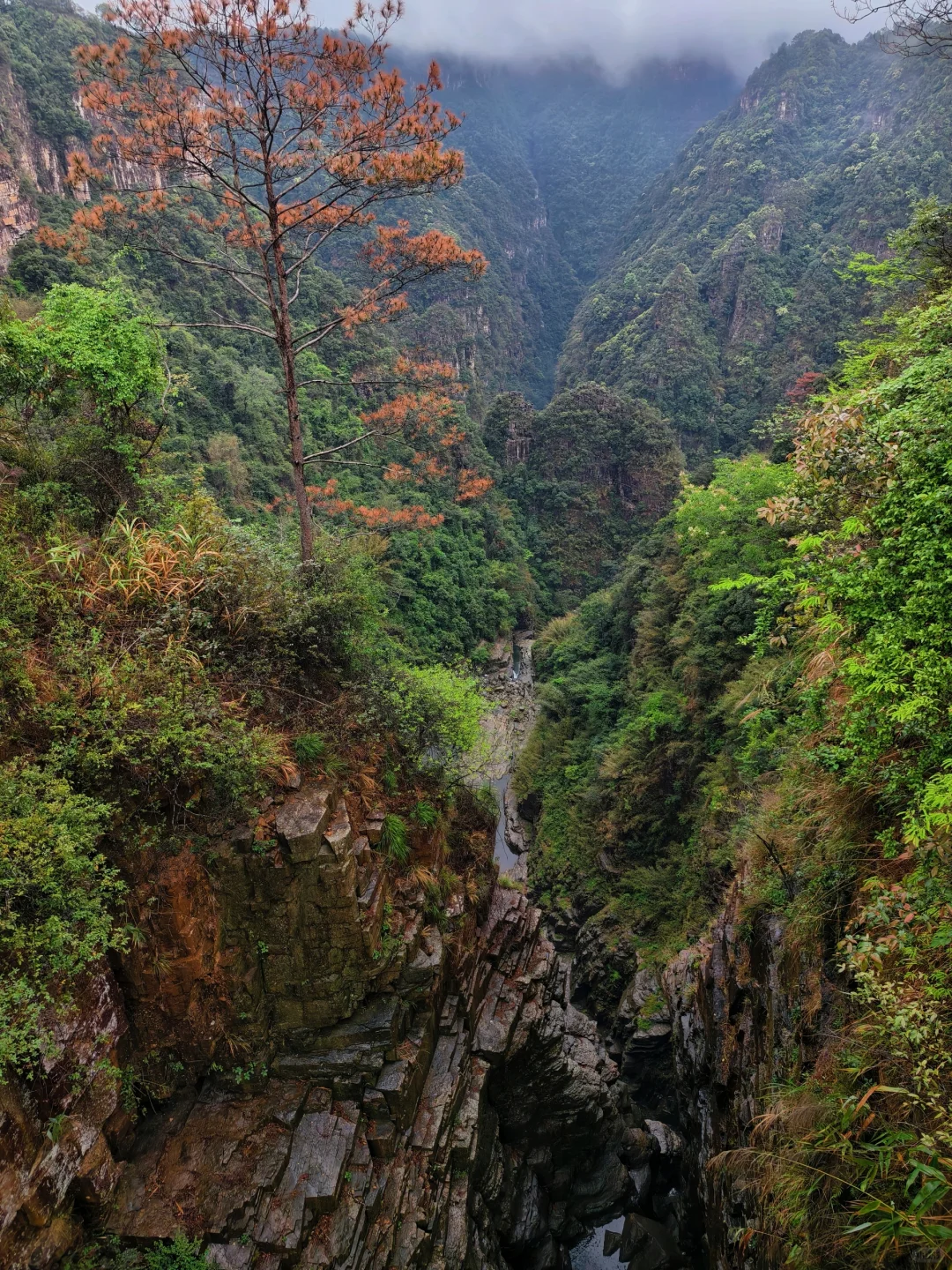 我愿称之为广东最值得的景区！