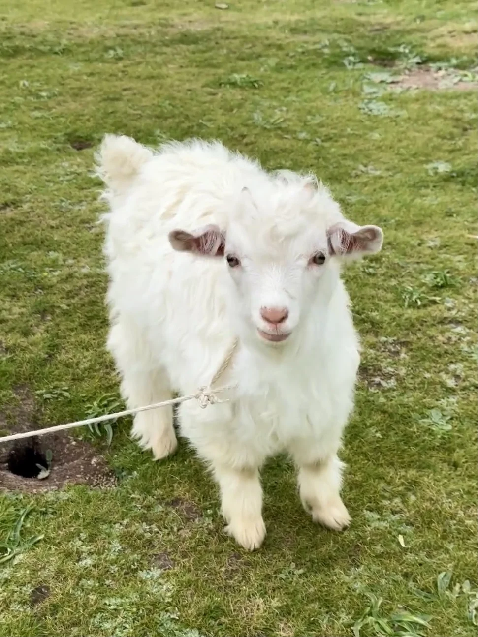 📍西北旅游攻略｜不绕路详细合理安排版❗
