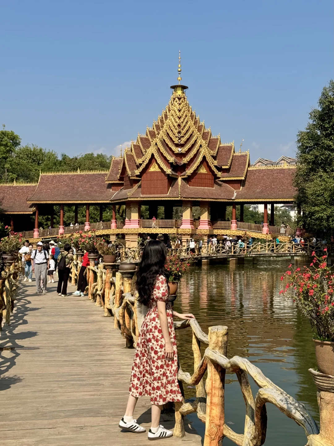版纳绝美景点🌴超出片📸｜多种玩法（附地图）
