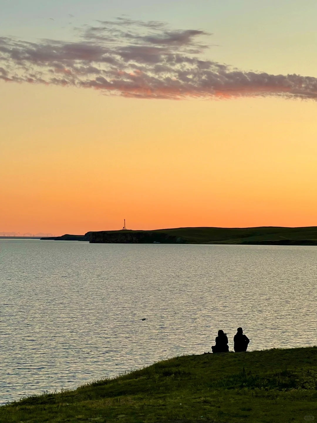Live图的意义🍃初夏的呼伦贝尔才是人间理想