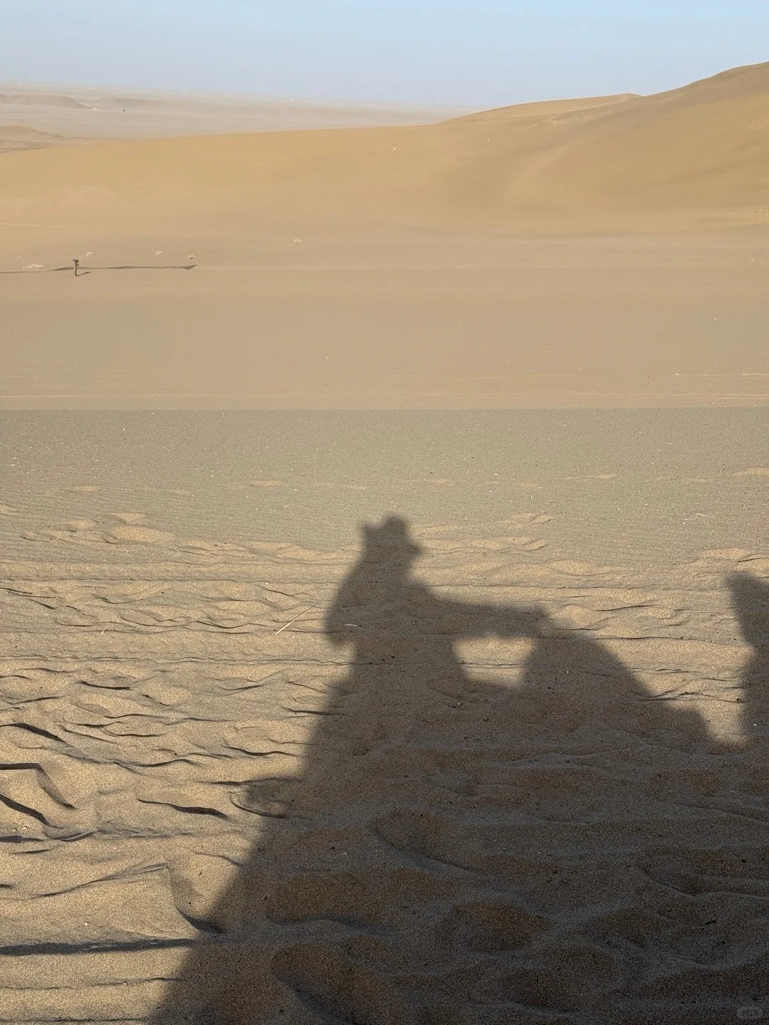 敦煌游玩已回，真心建议4-5月去，因为。。。