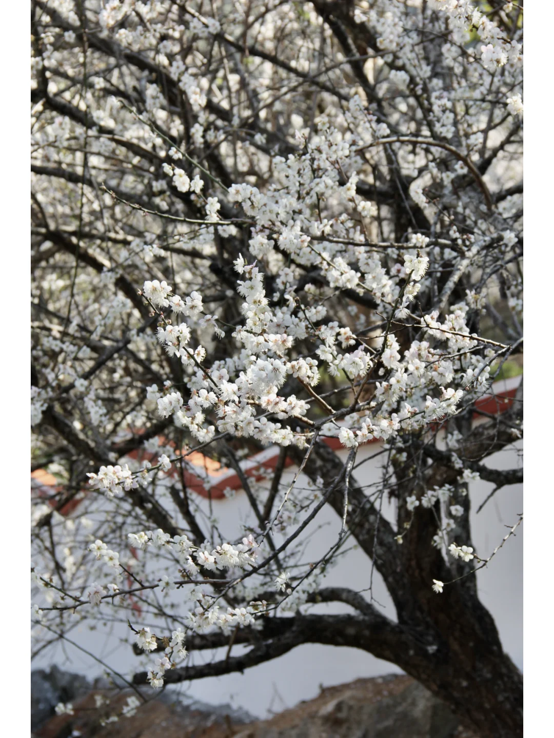 景区为什么越来越赚不到钱了？