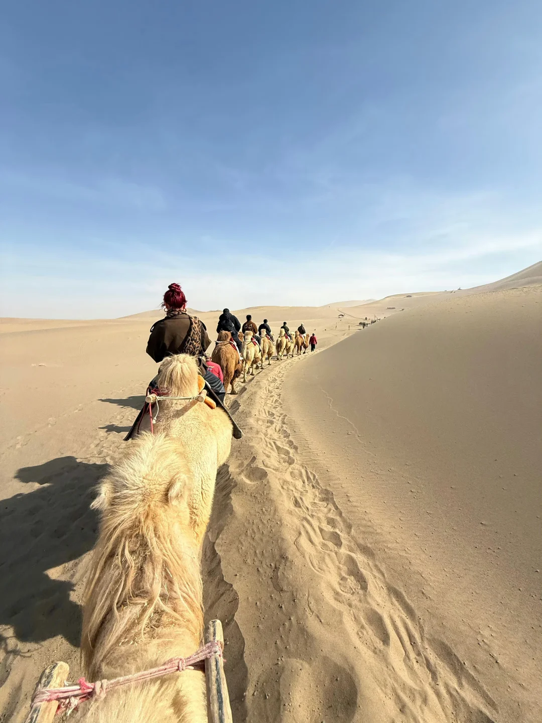 敦煌游玩已回，真心建议4-5月去，因为。。。