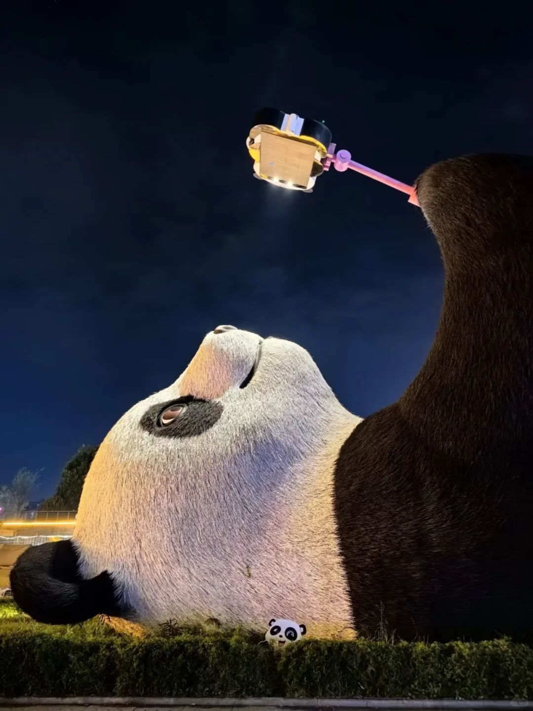 闯入熊猫谷🐼仙境，吸氧+吸猫全满足！