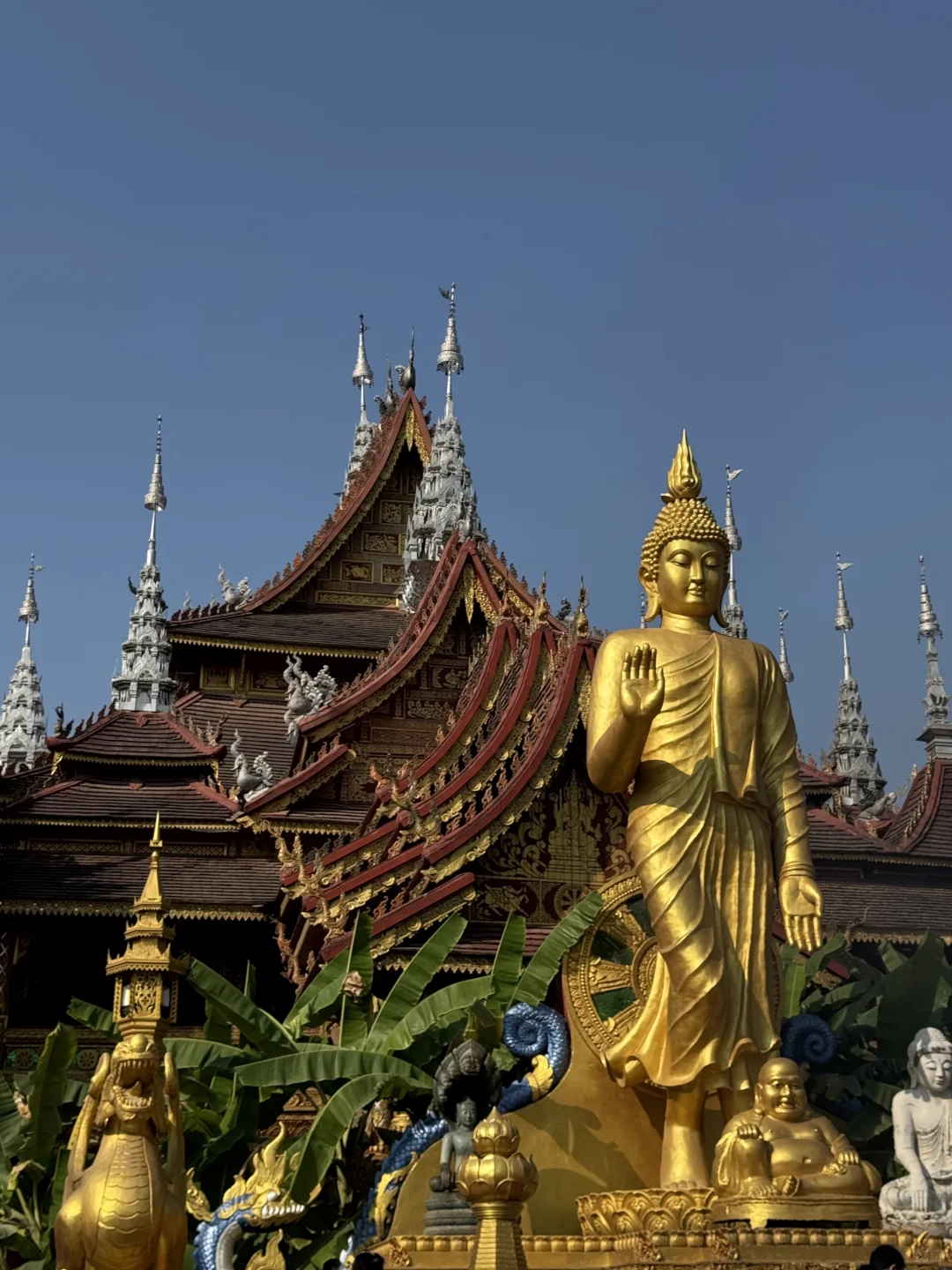 版纳绝美景点🌴超出片📸｜多种玩法（附地图）