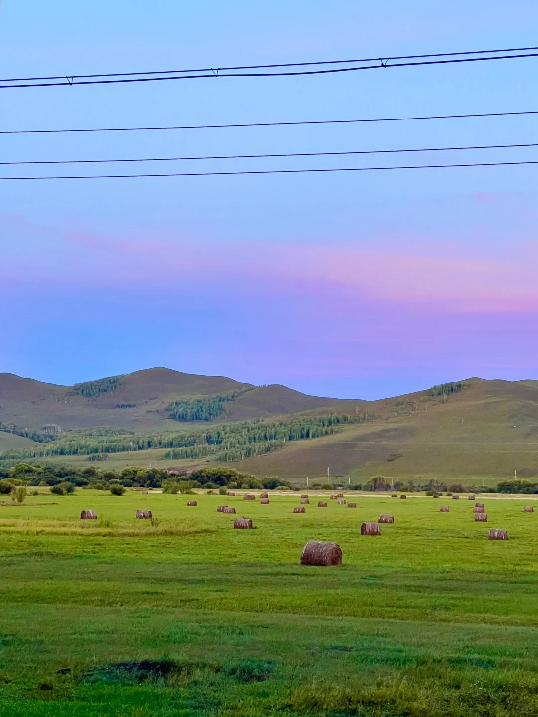 Live图的意义🍃初夏的呼伦贝尔才是人间理想