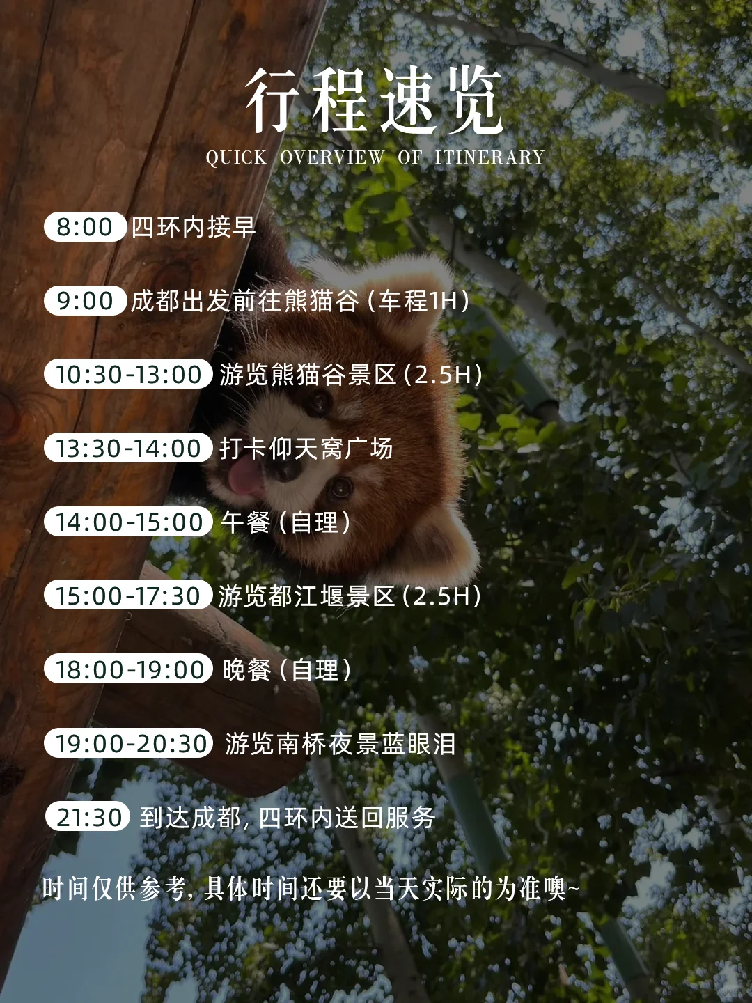 闯入熊猫谷🐼仙境，吸氧+吸猫全满足！