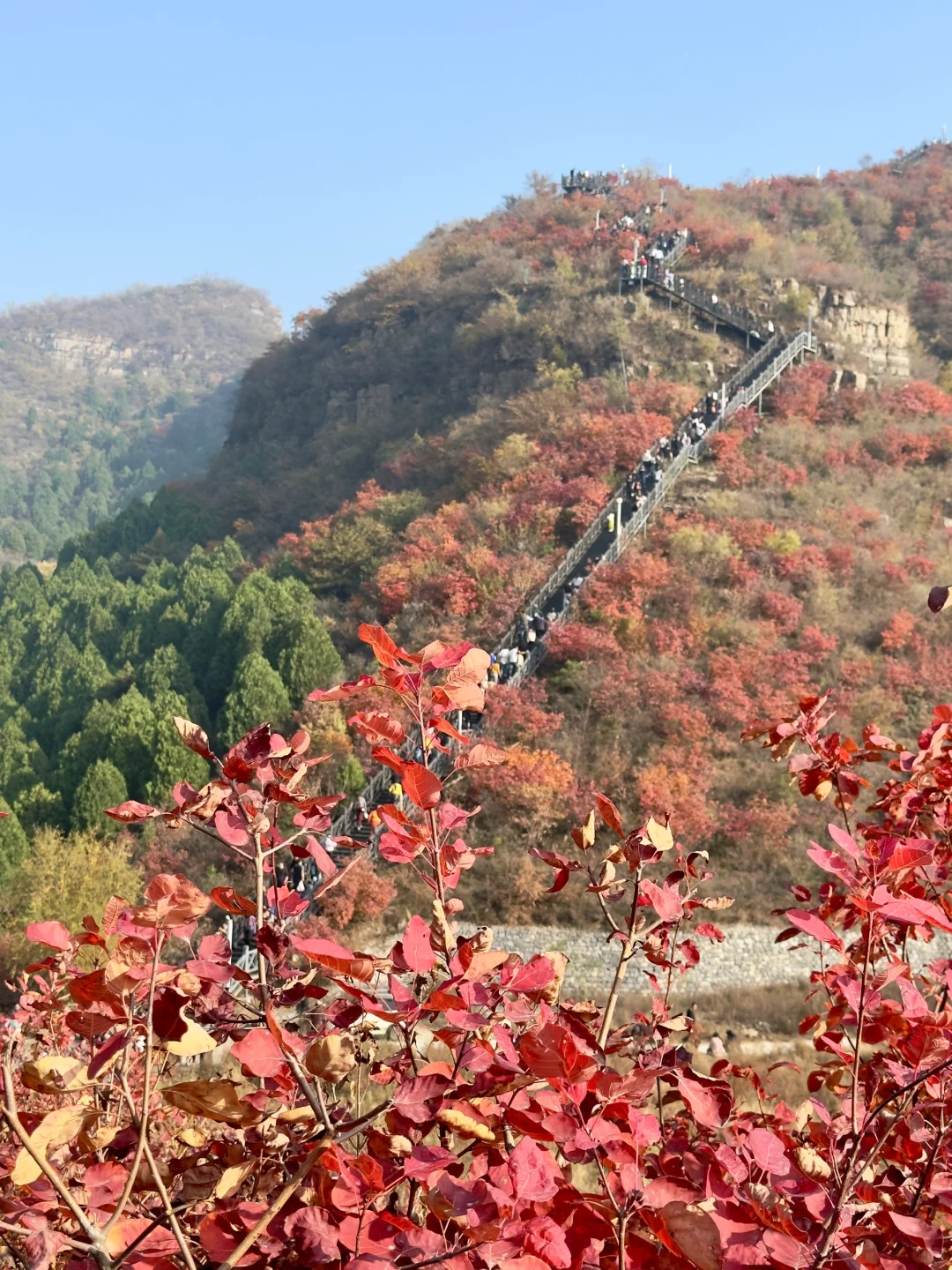 这样玩深秋的易县绝了！