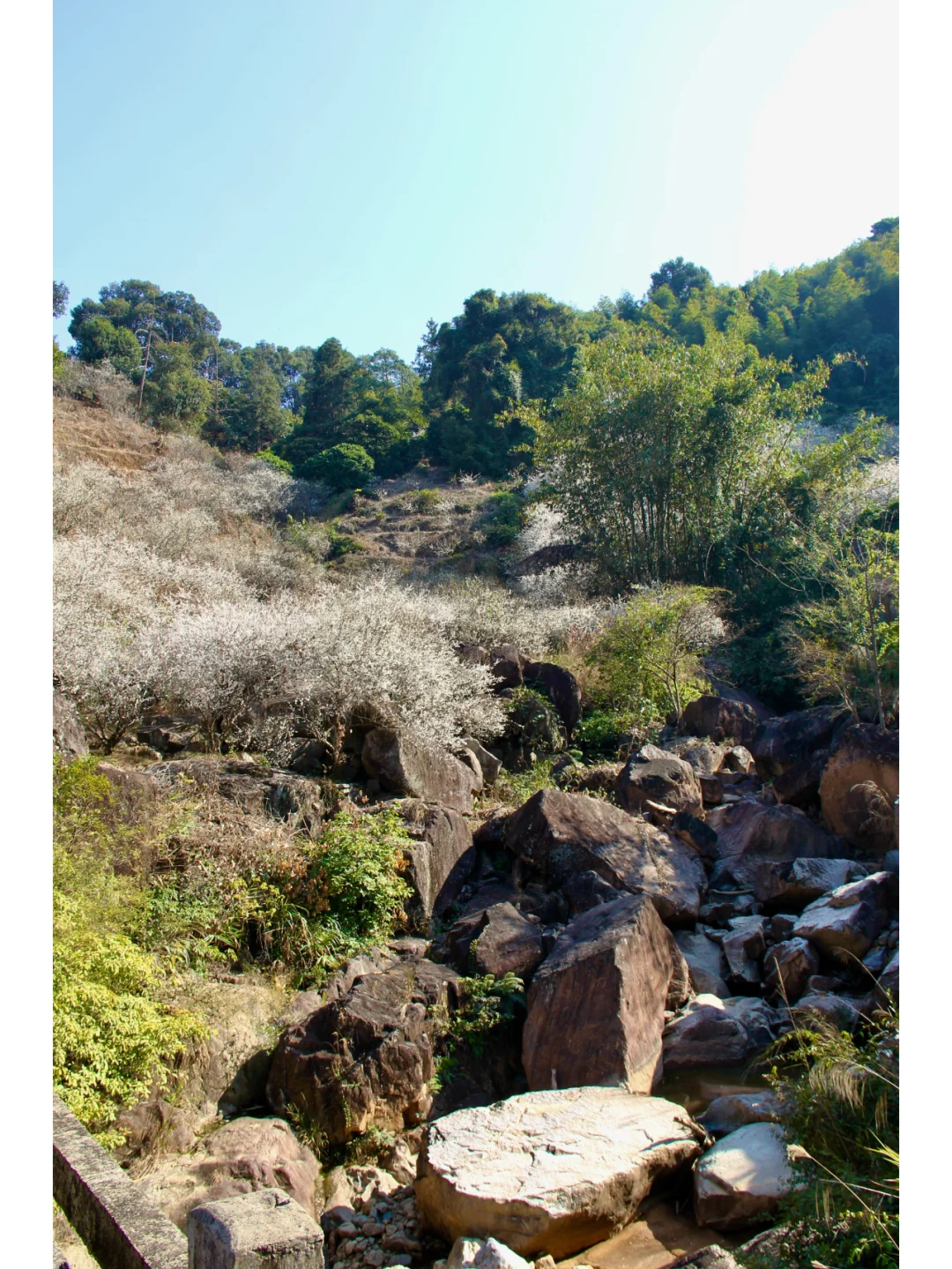 景区为什么越来越赚不到钱了？
