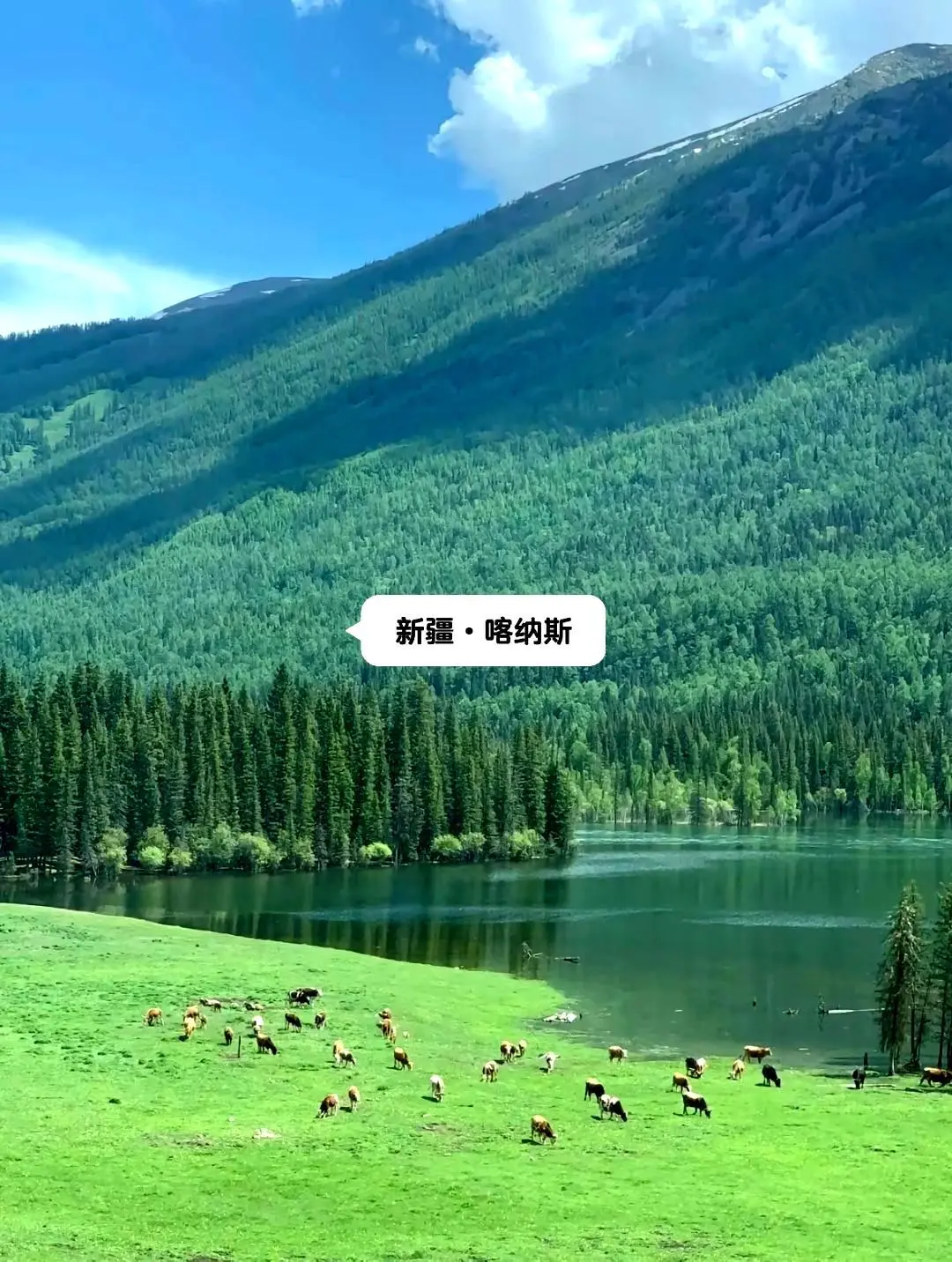 中国此生必游的十个胜地