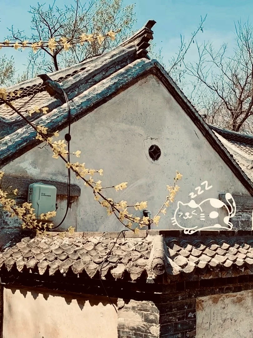 朱家峪景区最全攻略来了~