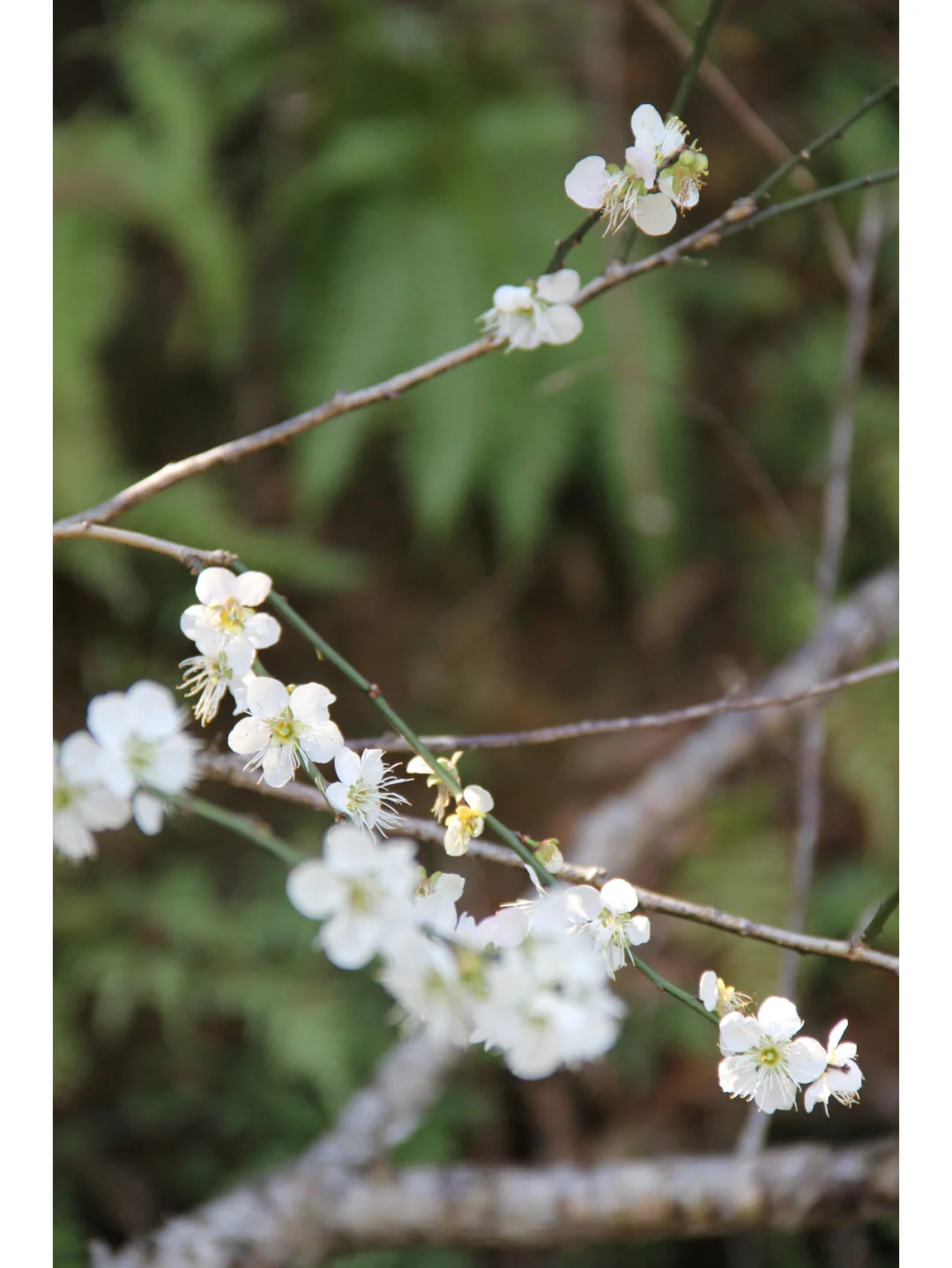 景区为什么越来越赚不到钱了？
