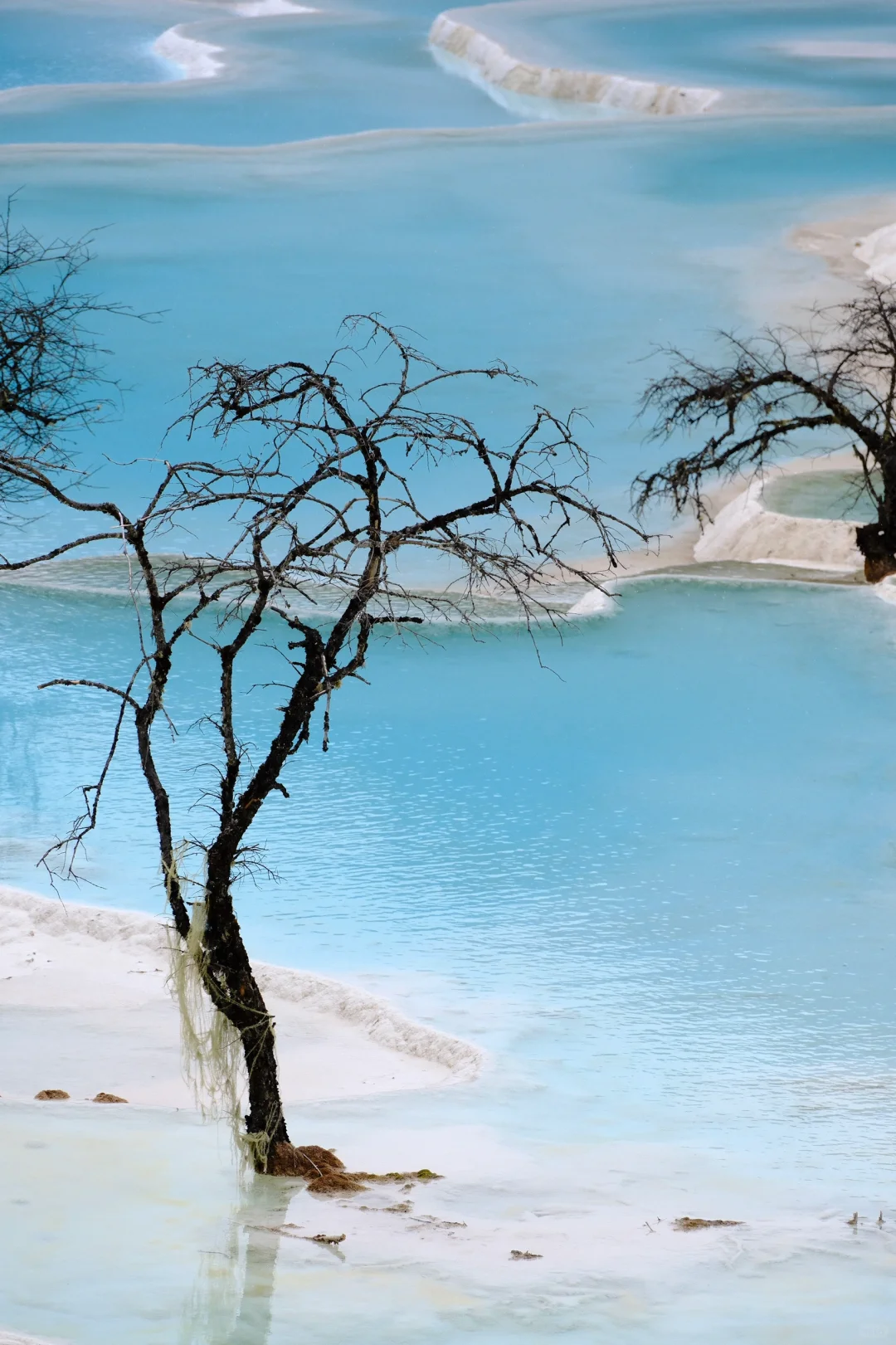 五色湖这阴天都遮挡不住的美貌TAT