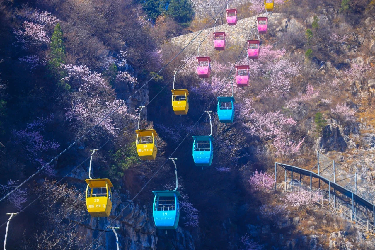 河南TOP1！来到这里的都结了婚