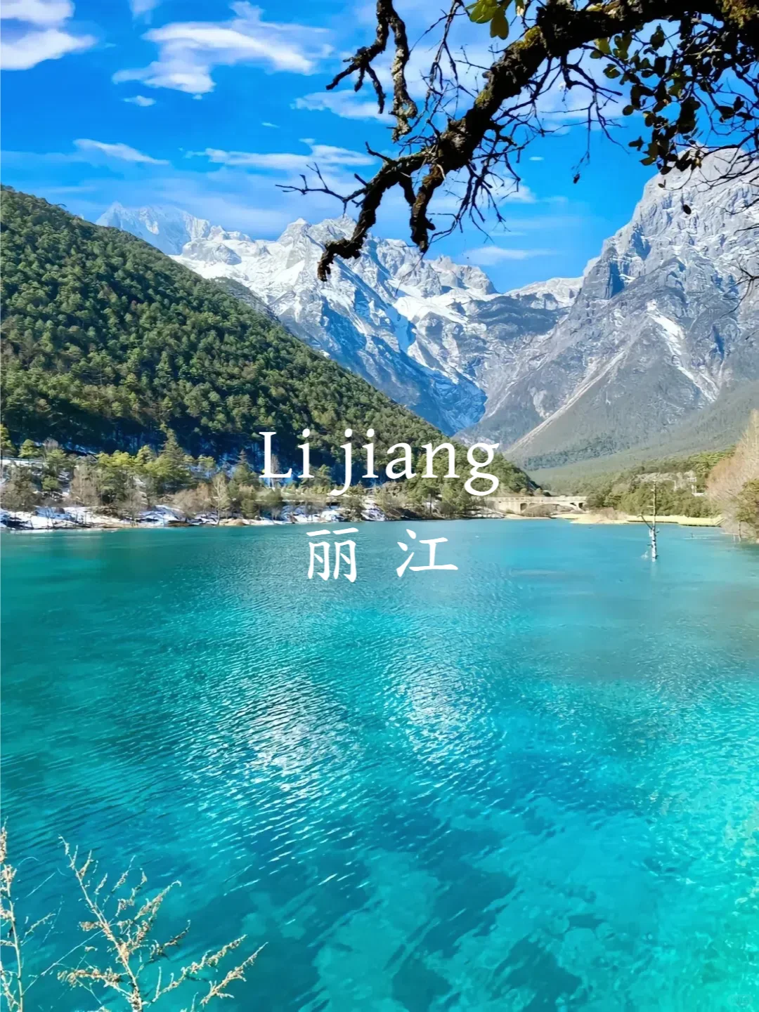 云南昆大丽6日纯玩｜3-5月来省一半预算💰