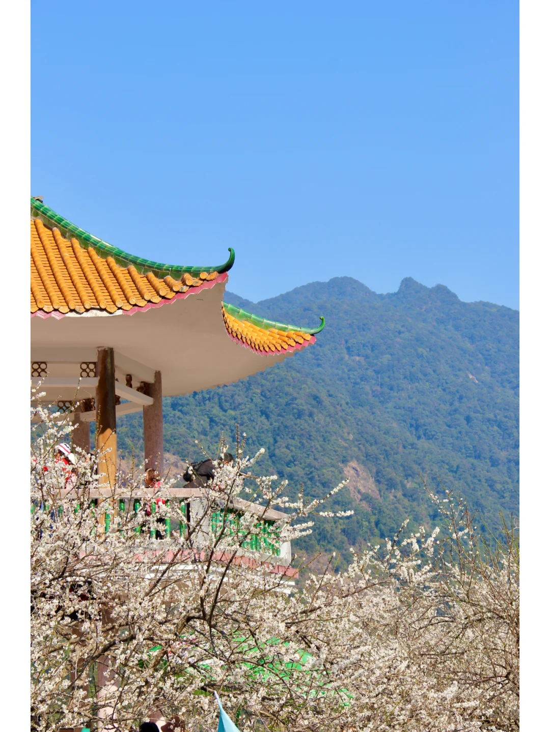 景区为什么越来越赚不到钱了？