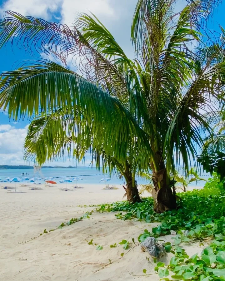 3-5月去冲绳旅游‼姐妹们一定要听劝