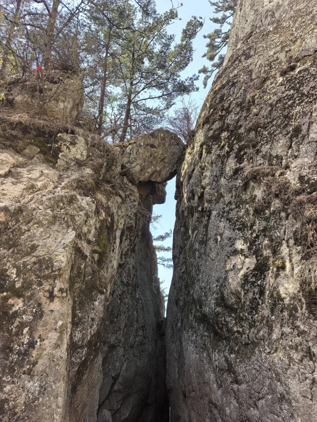 外国人不允许进入的景区老君山
