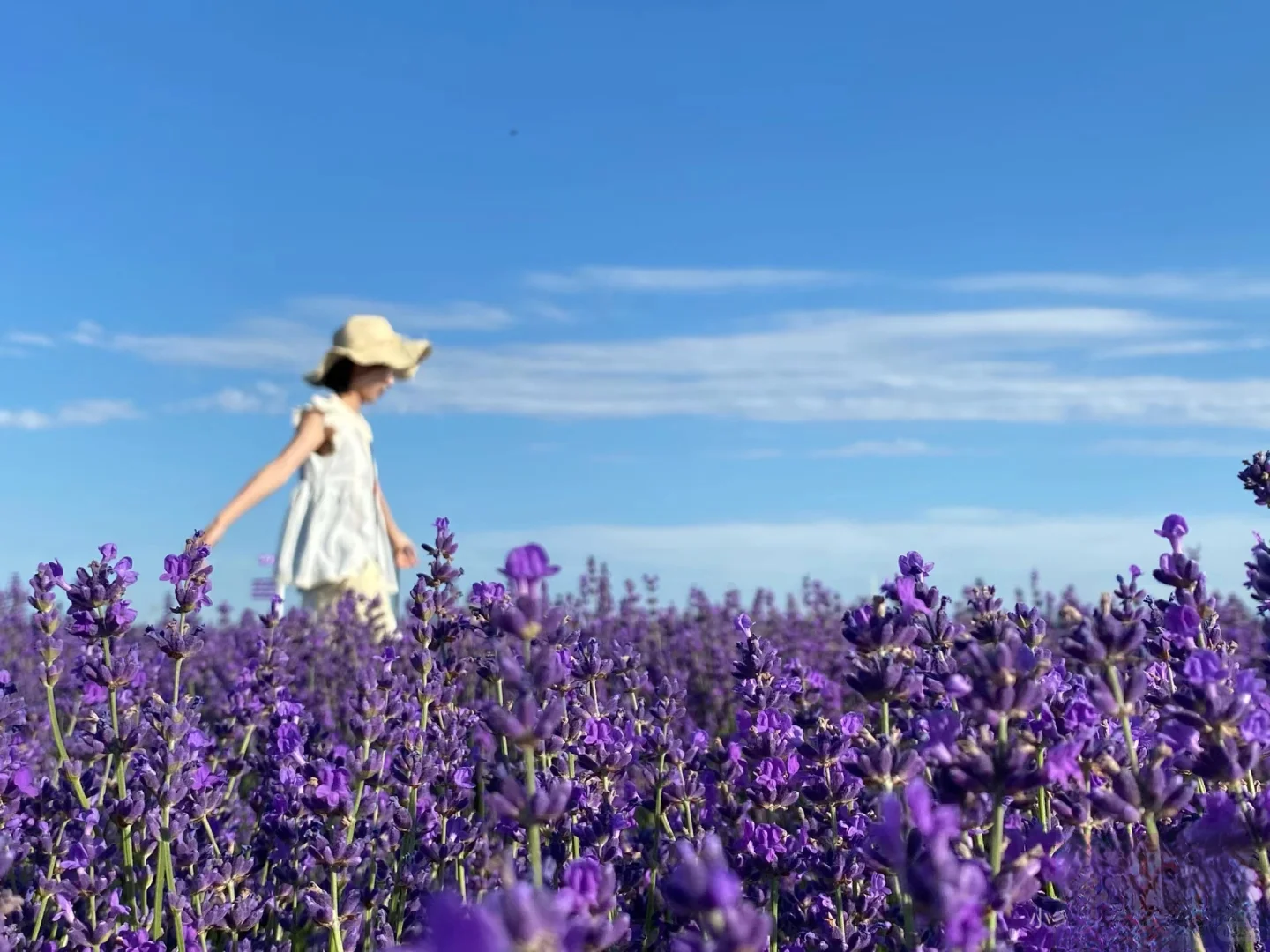 选一个好的旅行社真的很重要