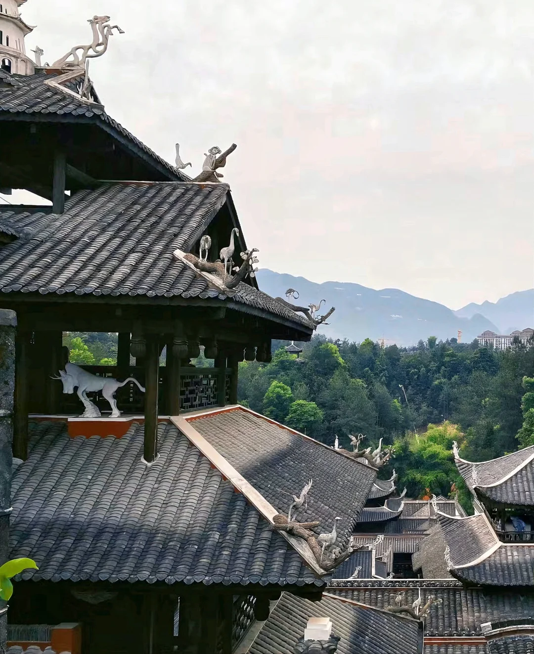 大学生暑假旅行|恩施三天两夜(避坑)