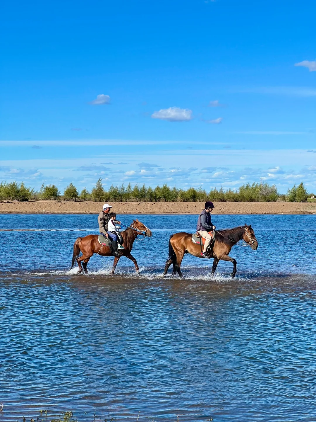 Live图的意义🍃初夏的呼伦贝尔才是人间理想