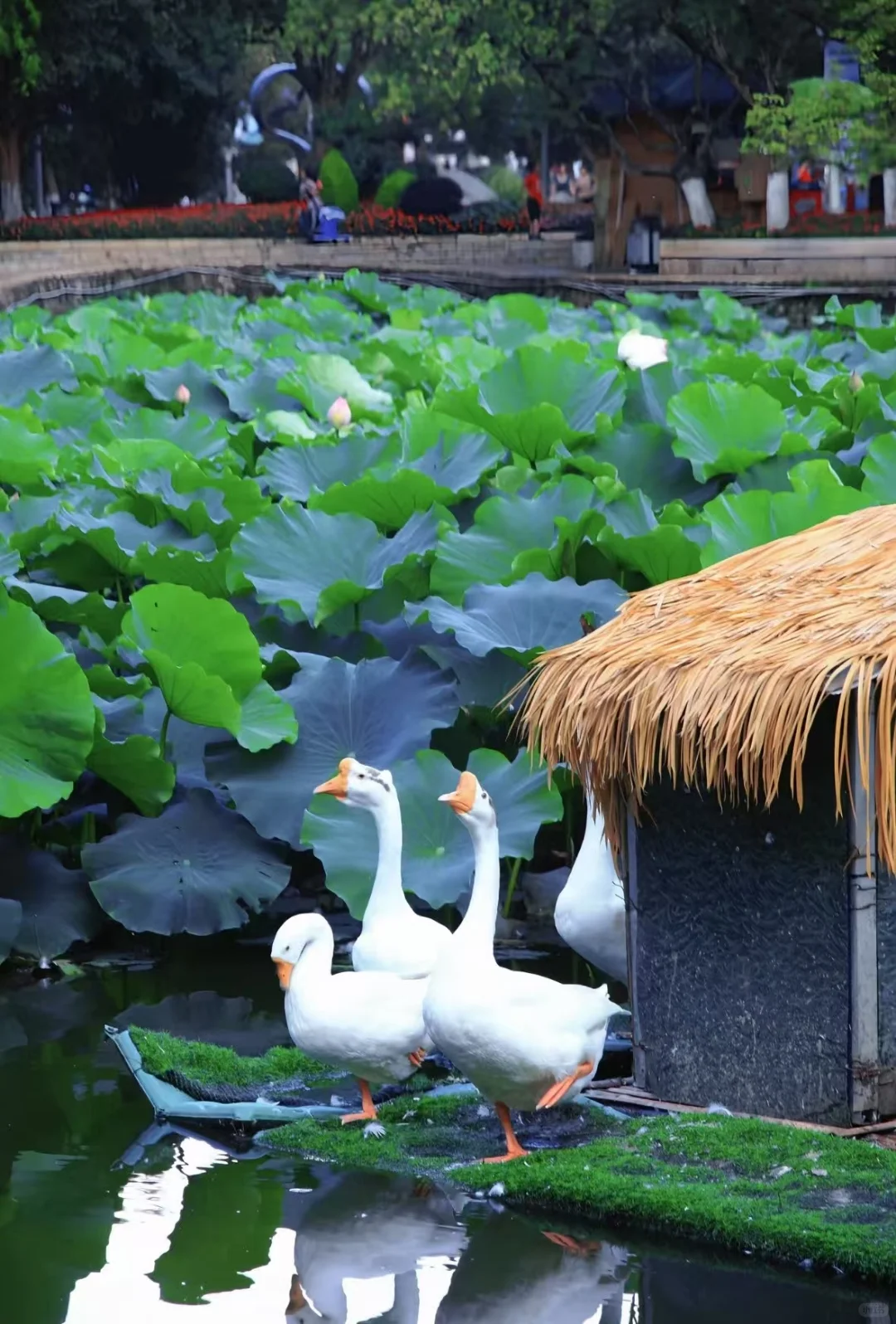 旅游特价游，想出游的来聊