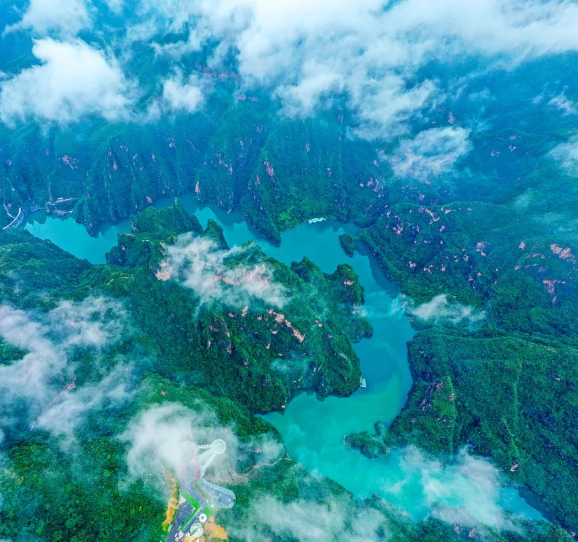 河南TOP1！来到这里的都结了婚