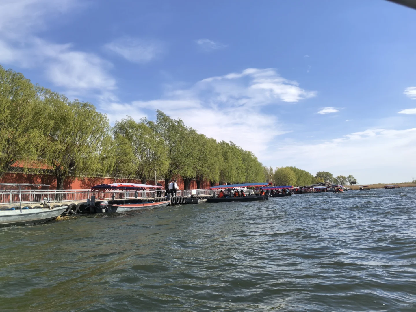 白洋淀？不要变成“白洋坑”！