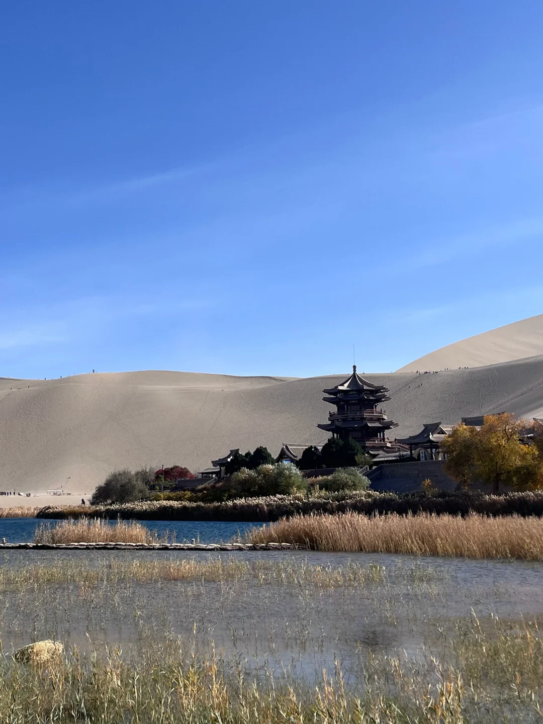 敦煌游玩已回，真心建议4-5月去，因为。。。