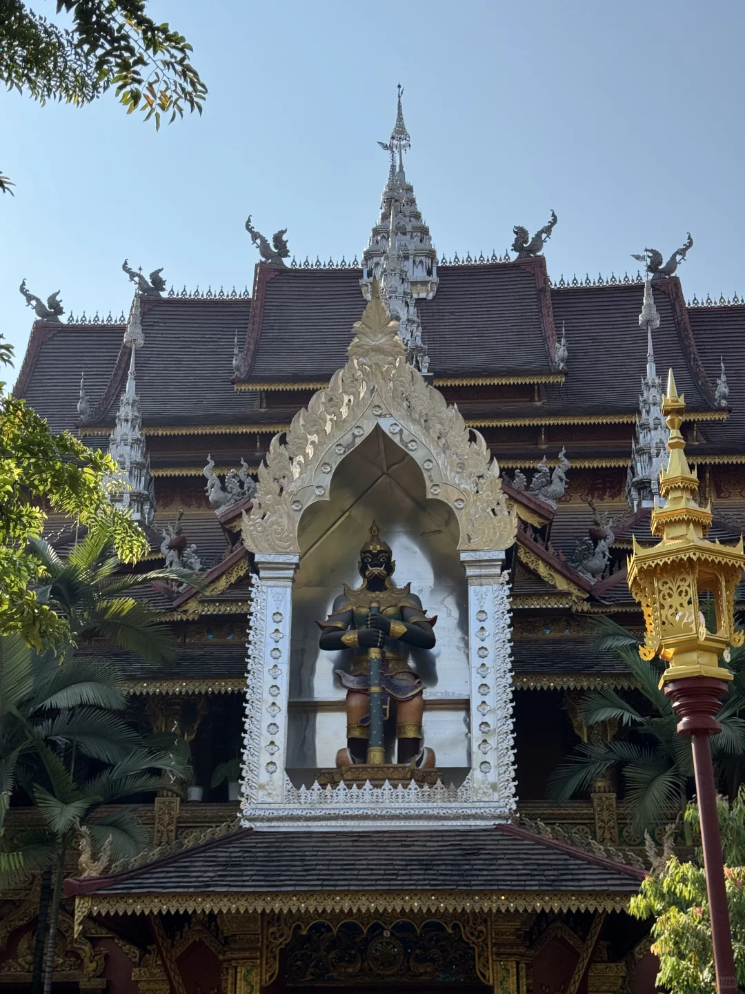 版纳绝美景点🌴超出片📸｜多种玩法（附地图）