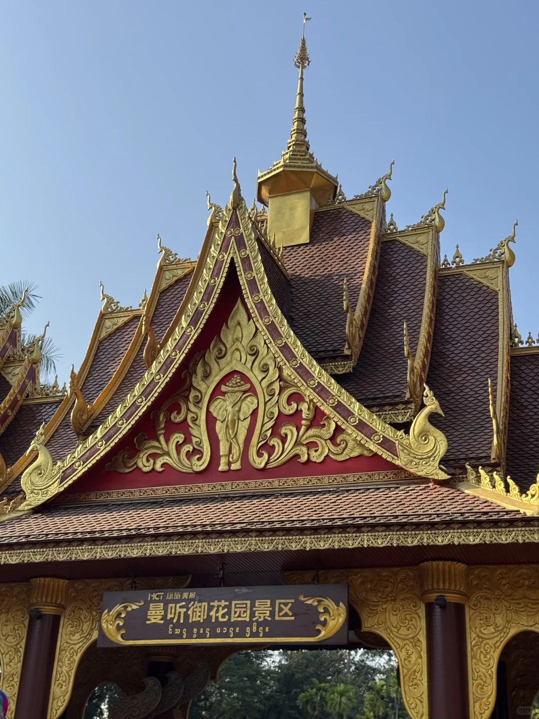 版纳绝美景点🌴超出片📸｜多种玩法（附地图）