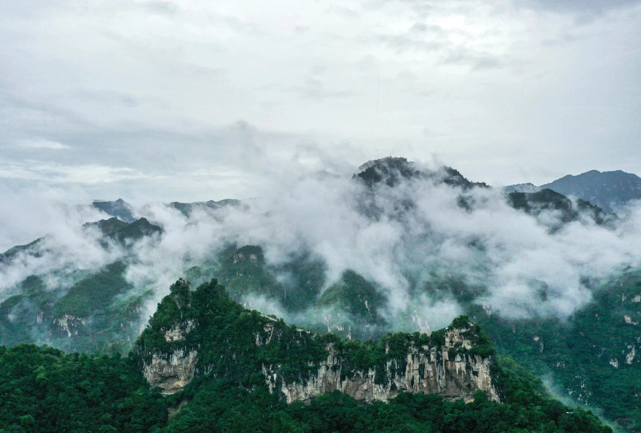 河南TOP1！来到这里的都结了婚
