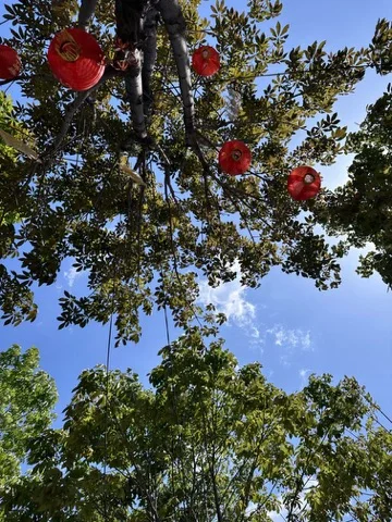 河北！藏不住的神仙打卡点💥