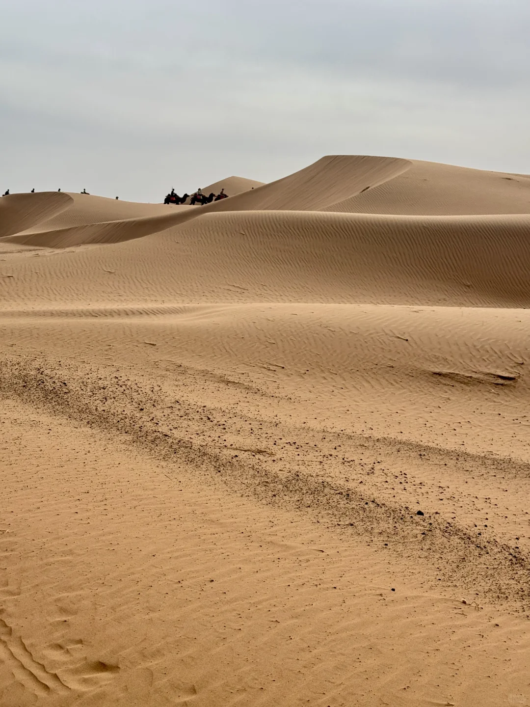 在中卫：大漠黄沙 戈壁孤烟的荒凉具像化了