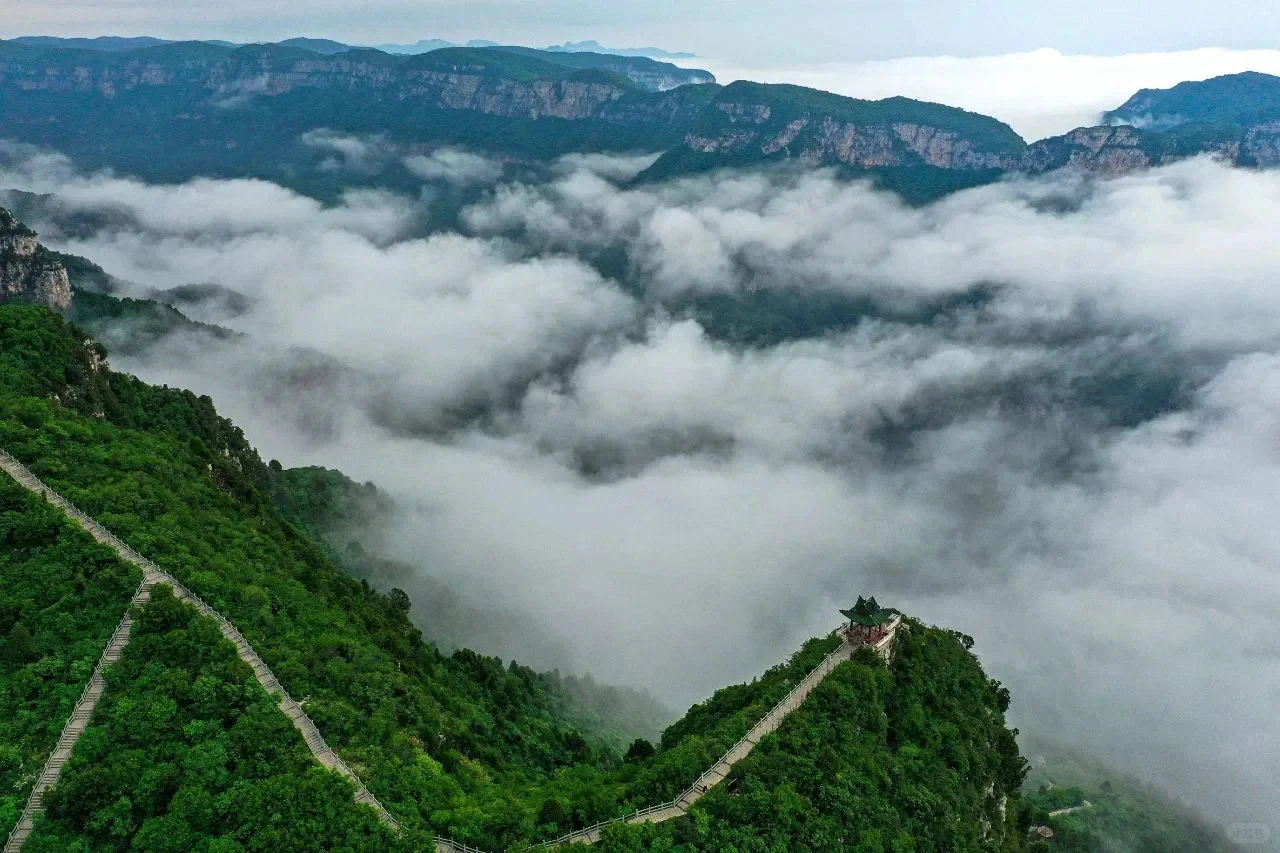 河南TOP1！来到这里的都结了婚