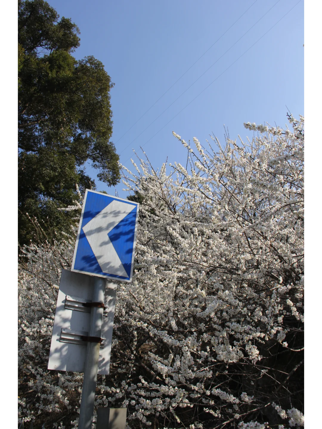 景区为什么越来越赚不到钱了？