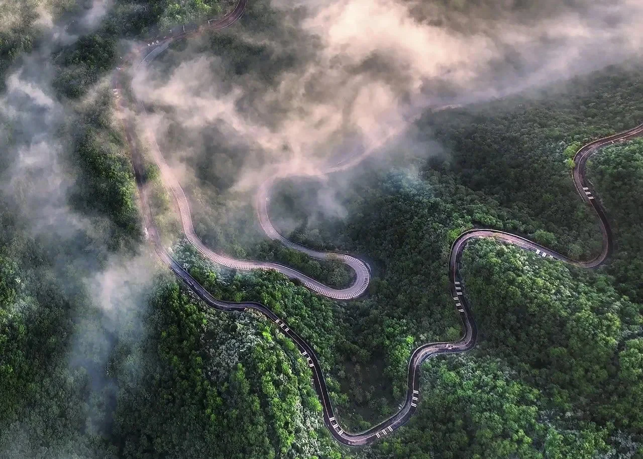 河南TOP1！来到这里的都结了婚