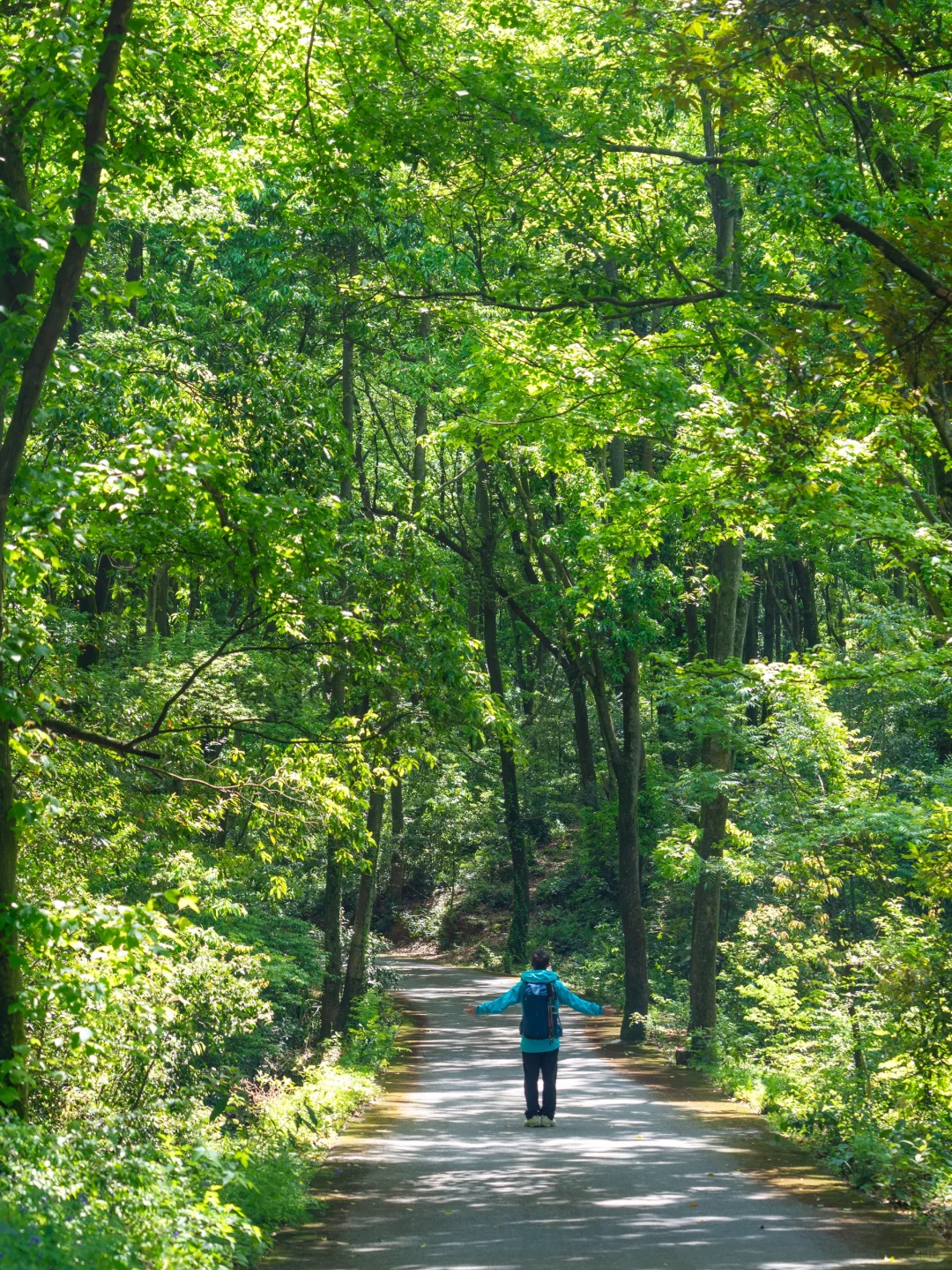我很少用“震撼”来形容一个地方 😭