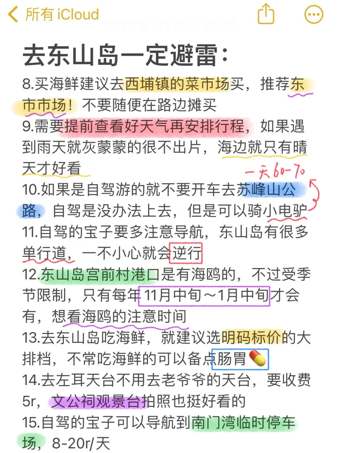 去东山岛一定避雷|J人手写📖旅游攻略