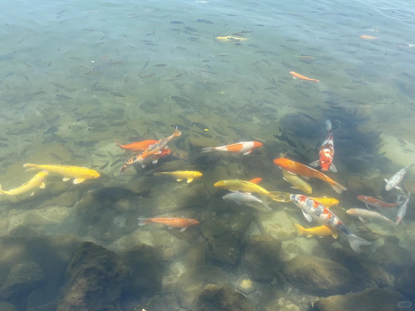 湛江湖光岩最全旅游攻略，还有免费门票