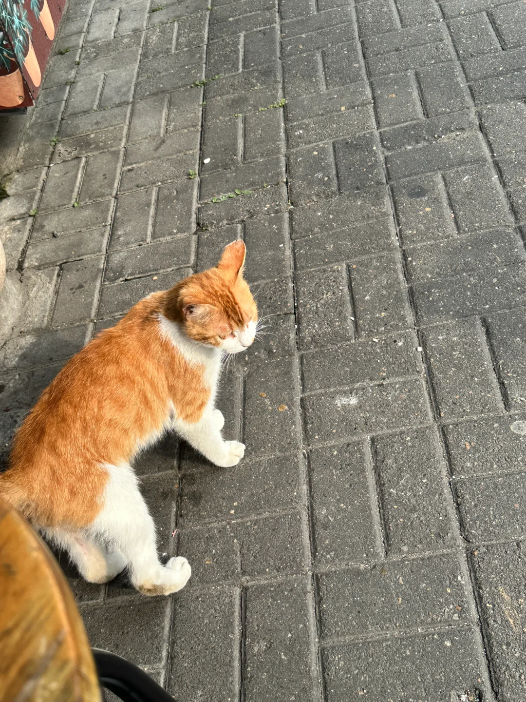 #旅游 日常有你感到幸福