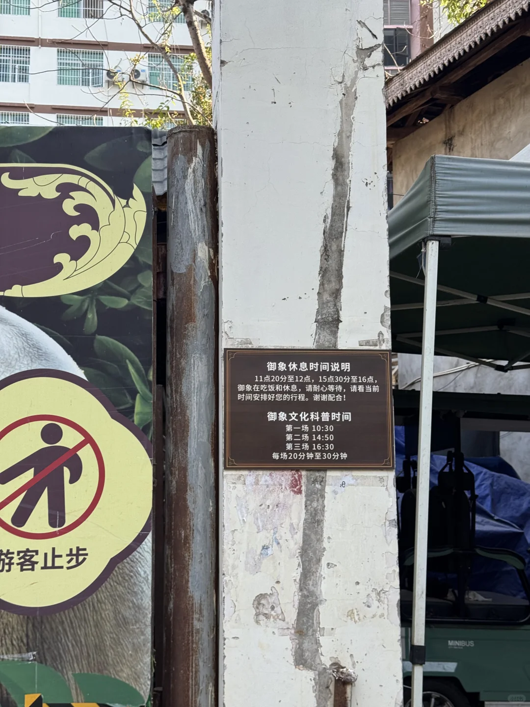 版纳绝美景点🌴超出片📸｜多种玩法（附地图）