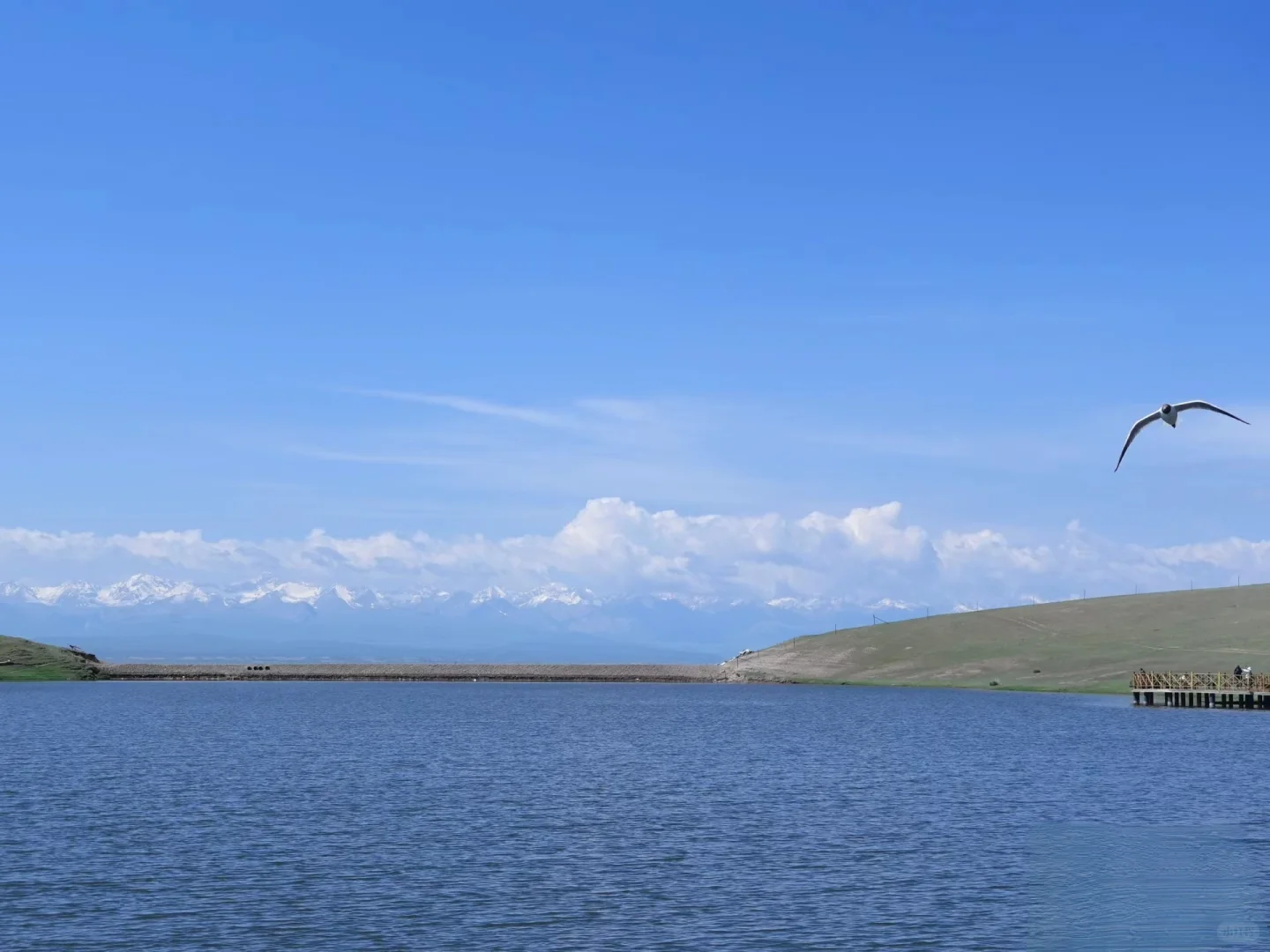 选一个好的旅行社真的很重要