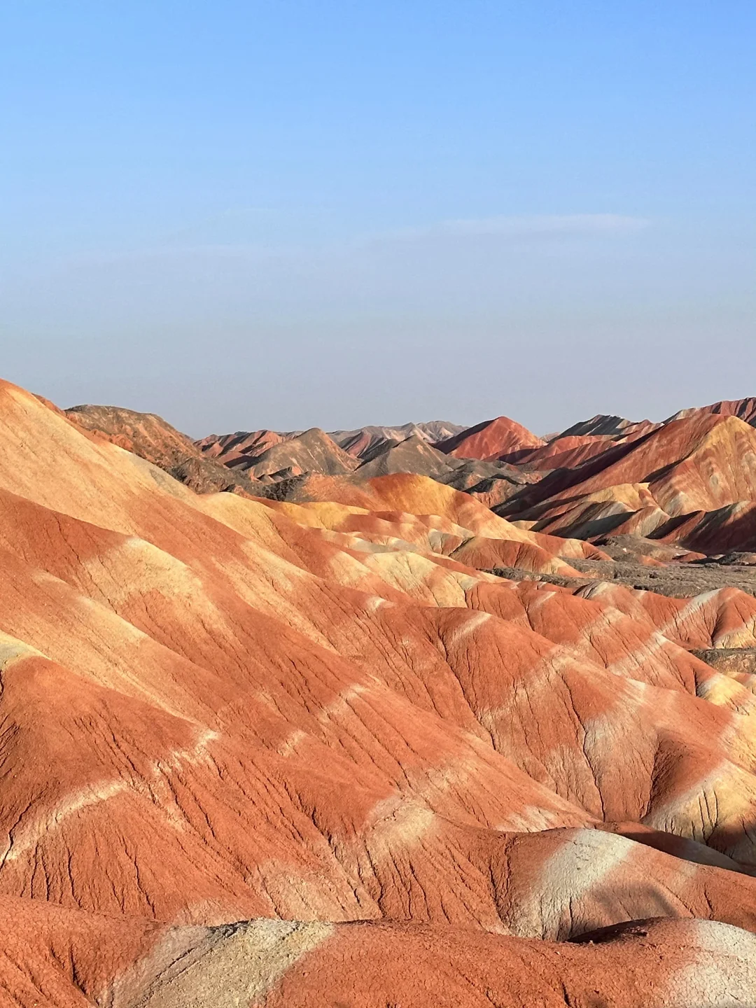 敦煌游玩已回，真心建议4-5月去，因为。。。